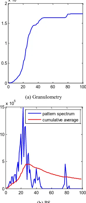 Figure 3 Granulometry and PS using opening-by-reconstruction  