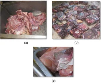 Gambar 1 Pakan Harimau sumatera, daging kambing (a), daging kuda  (b),   daging ayam dan kangguru (c) 
