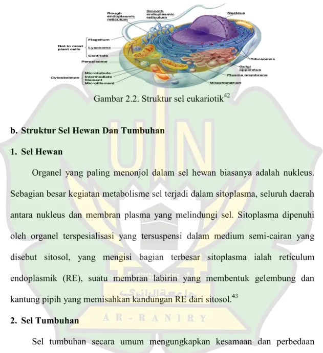 Gambar 2.2. Struktur sel eukariotik 42