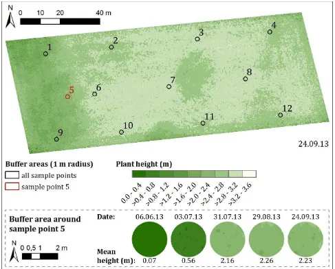 Fig. 2 CSM-derived maps of plant height for the whole maize field on the last campaign date (top) and for the buffer area around sample point 5 on each date (bottom)