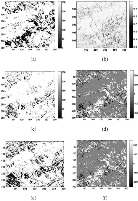 Figure 6: Flooded areas in black : (a) optical method, (b) coher-ence map, (c) mask method, (d) the difference image (a) − (c),(e) the proposed approach and the difference image (a) − (e).