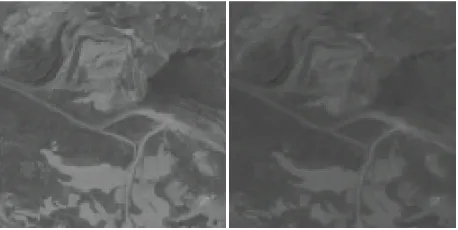 Figure 2. The panchromatic (left) and transformed multispectral (right) images of a same region