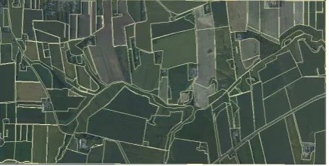 Figure 2. Study area covered by the orthophoto and agricultural parcels 