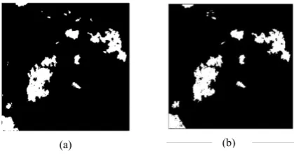 Figure 4. Change detection result of Mexico data set,              (a) Proposed approach, (b) Ground truth 