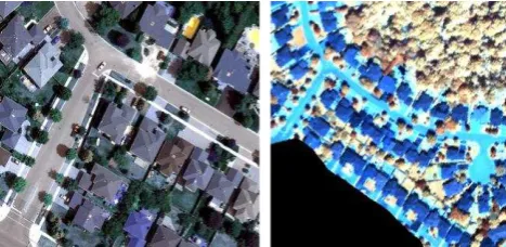 Figure 2. The true colour composite VHR imagery (left) and false colour composite of the CASI imagery covering Site 2 (43.777503°N, 79.339701°W)