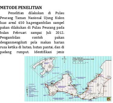 Gambar 1. Lokasi Penelitian Pulau Peucang (dilingkari) 
