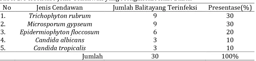 Tabel 1. Persentase Jenis Cendawan yang Menginfeksi Kulit Balita. 