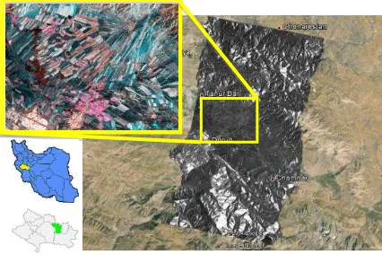 Figure 1: An example of a TSX amplitude image of July 26th 2012 over google earth image in Doroud and the subset area shown with RGB colour composite in Pauli basis over the agricultural fields
