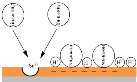 Gambar 4.10 Proses terjadinya kemisorpsi molekul kitosan pada                    permukaan logam tinplate 