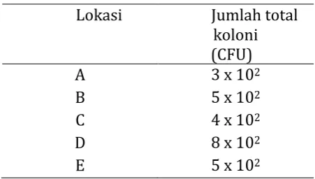 Tabel 4. Jumlah Total Mikroba 
