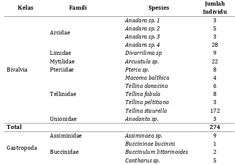 Tabel 2. Famili, dan nama spesies dan jumlah individu tiap spesies pada Stasiun I (Kawasan Rehabilitasi Mangrove) 