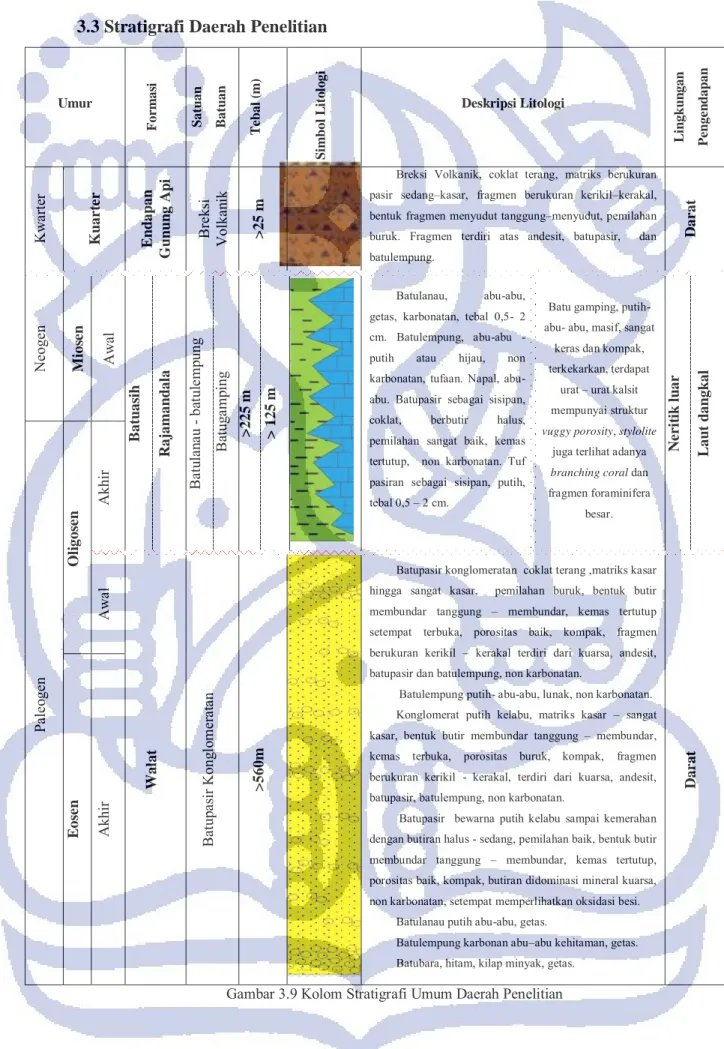 Gambar 3.9 Kolom Stratigrafi Umum Daerah Penelitian 