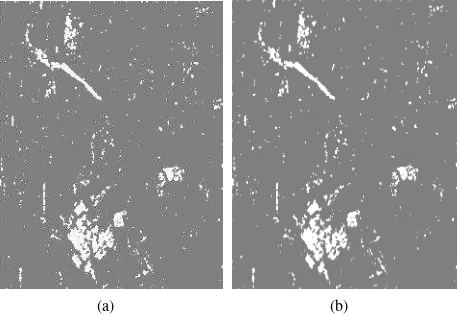 Figure 4: Final results of the unsupervised change detection forexperimental data.Details of change obtained in case of (a)the generalized K&I method proposed in this paper (b) CFARmethod