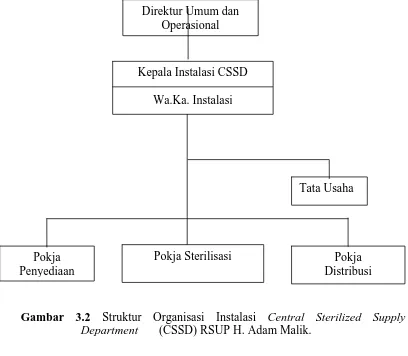 Gambar 3.2 Struktur Organisasi Instalasi Central Sterilized Supply Department       (CSSD) RSUP H