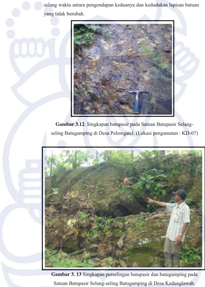 Gambar 3.12 . Singkapan batupasir pada Satuan Batupasir Selang- Selang-seling Batugamping di Desa Pelemgatel