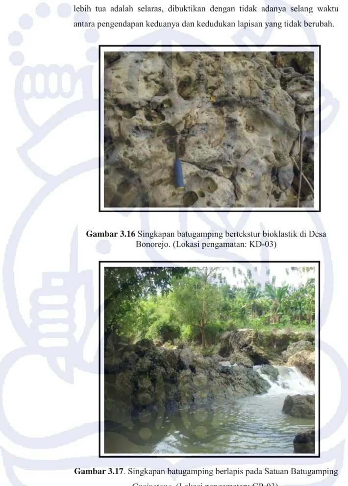 Gambar 3.16  Singkapan batugamping bertekstur bioklastik di Desa  Bonorejo. (Lokasi pengamatan: KD-03) 