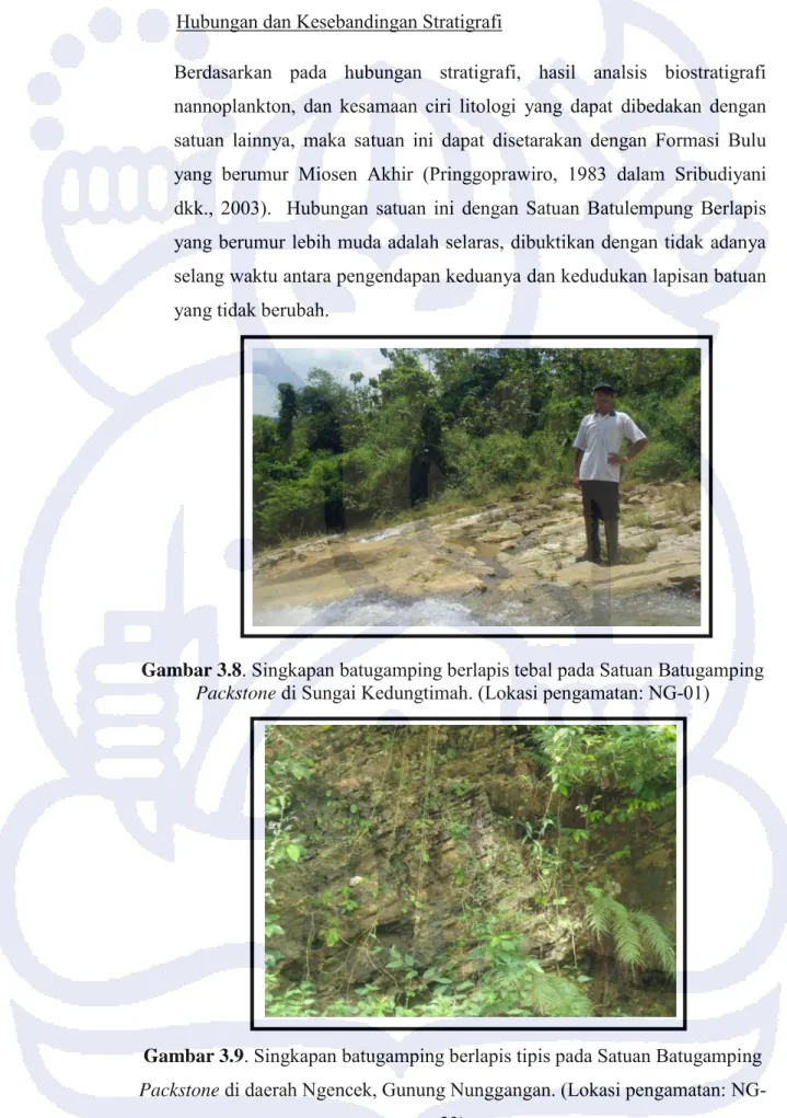 Gambar 3.8 . Singkapan batugamping berlapis tebal pada Satuan Batugamping  Packstone  di Sungai Kedungtimah