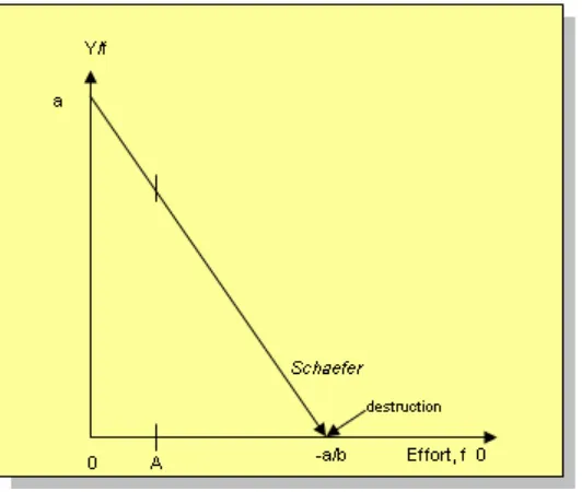 Figure 6.  Illustration Model assumption  from Shcaefer Model  