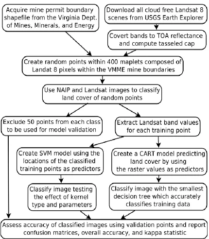 Figure 3. Flow diagram outlining the input data and processing steps used to generate models for presence or absence of autumn olive for the study area