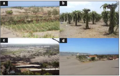 Gambar 1.1. a dan b adalah gambar alih fungsi kawasan Gumuk pasir Parangtritis menjadi area pertanian c adalah gambar rumah-rumah permanen