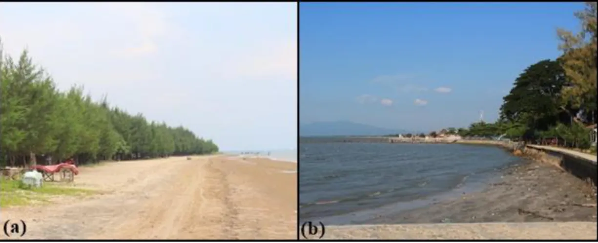 Gambar 2. Gisik bermaterial pasir putih di Pantai Caruban, Kec. Rembang (a) dan gisik bermaterial  pasir kecoklatan di Pantai Dampo Awang, Kec
