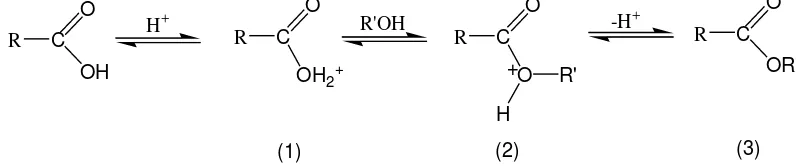 Gambar 2.3. Mekanisme reaksi esterifikasi dengan katalis asam 