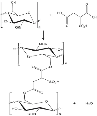 Gambar 2.5. Reaksi sulfonasi kitosan dengan menggunakan asam sulfosuksinat 