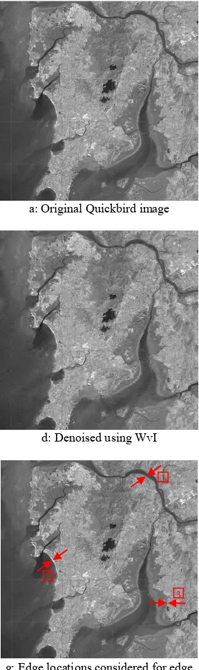 Fig. 6: Denoising of Landsat TM image of Mumbai  