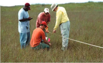 Figure 2b. Members of iGETT Cohort 3 help each other with remote sensing analysis (at right).
