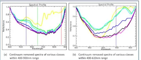 Figure 9: Bathymetry profile across the scene shown in  inset 