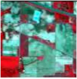 Figure 10. First two PCs of Indian pines hyperspectral image 