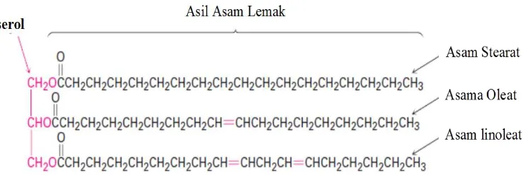 Gambar 2.1. Struktur Trigliserida 