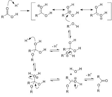 Gambar. 2.3 Mekanisme reaksi esterifikasi asam lemak dengan katalis asam 