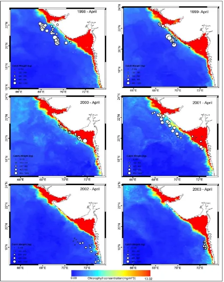 Figure 3.1: The spatial distribution pattern of (Chlorophyll –a) for the year 1998-2003 overlain on catch weight   