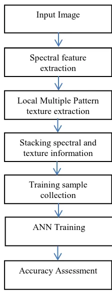 Figure 1. Work flow of the proposed methodology 