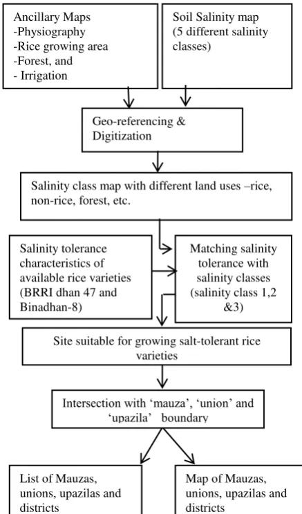 Fig. 3 Flow chart showing the methodology of site suitability analysis for salt-tolerant rice varieties 