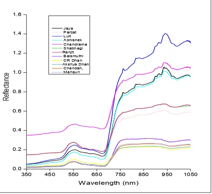 Figure 4. Spectral signature of Rice genotypes at 72 DAP 