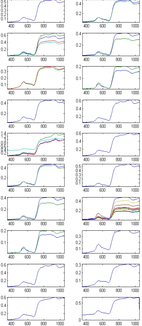 Table 2. Discriminated and mixed rice genotypes from clustering   