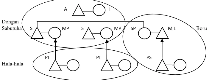 Tabel.3.  Diagram Kelompok Dalihan Natolu. A (Ayah); I (Ibu); S (Suami); MP (Menantu Perempuan); ML (Menantu Laki-laki); PI (Pemberi Istri); PS (Pemberi Suami)