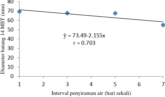 Gambar 3. Hubungan diameter batang tanaman umur 14 MST dengan berbagai 