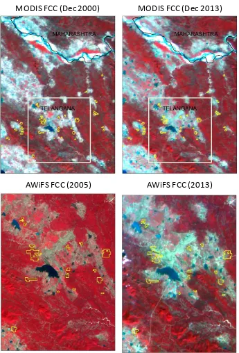 Figure 3. Forest Cover Loss areas as identified using MODIS imagery and verified visually using high resolution IRS AWIFS   Imagery