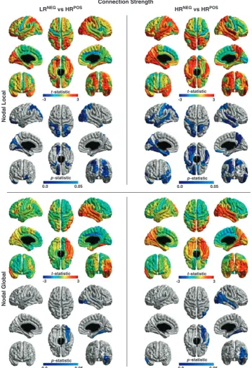 Figure 3.The comparison of the mean connection strength in the paths comprising the measures of nodal local and nodal global efﬁciencyfor LRNEG versus HRPOS infants, and for HRNEG versus HRPOS infants, in a model with all three groups, controlling for age,