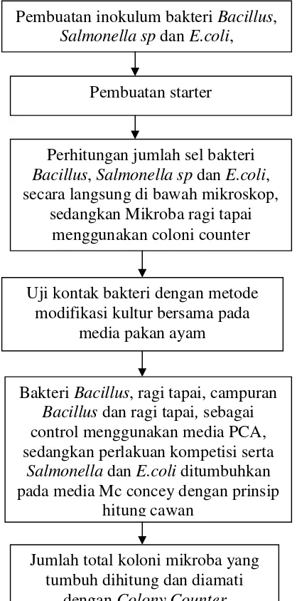Gambar 4. Diagram alur penelitian Uji Kontak Bakteri