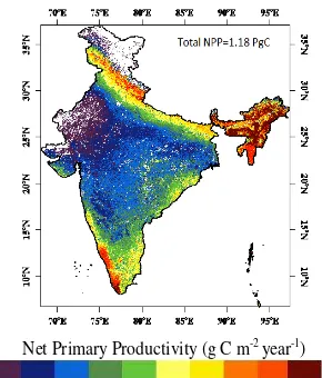 Figure 6 Spatial distribution of annual NPP in India 