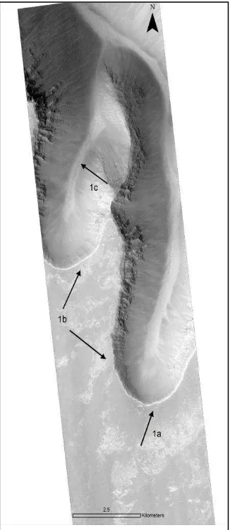 Fig. 2. HiRISE subset image south of Ius chasma have 1a) Steep theatre shaped headwalls 1b) short, stubby tributaries joining long main valley 1c) V-shaped valleys  