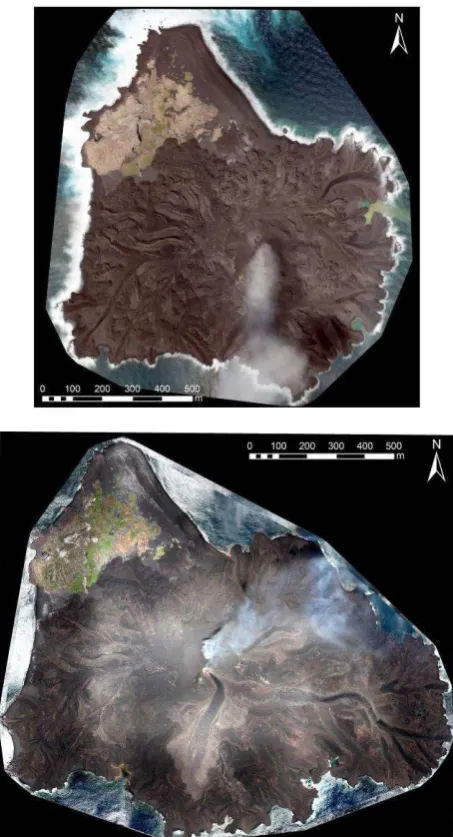 Figure 5 is the ortho-mosaic photo of Nishinoshima Volcano on March 22 and July 4 by analysis described above