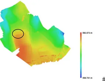 Fig. 8. Detail of the result of the linear contrast enhancement of 