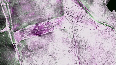 Fig. 11. Detail of false color composition with the three NDVIs (R: NDVI_6; G: NDVI_5; B: NDVI_6) and linear contrast enhancement of the histogram with breakpoints in Valdeherrera