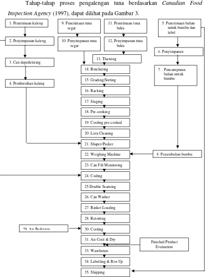 Gambar 3 Tahap pengalengan tuna (Canadian Food Inspection Agency, 1997) 