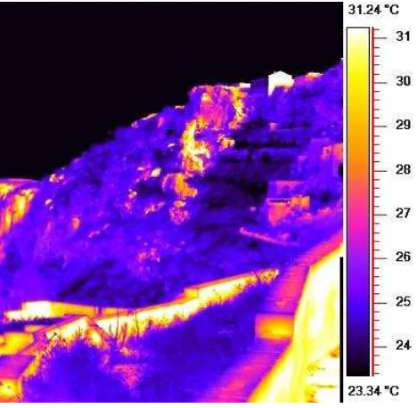 Figure 1. Thermal image of the ravine of an area of the 